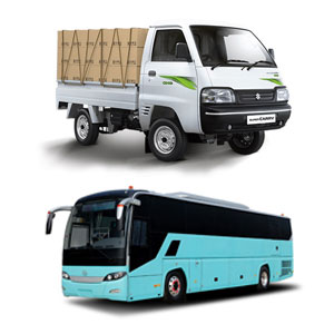pest control on bus and goods vehicles