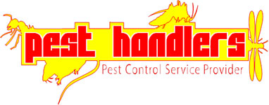 Pest control service provider