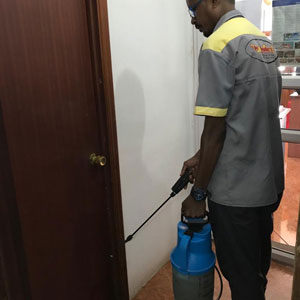 spray-treatment
